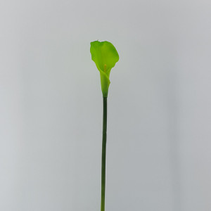 Calla singola cm.80 verde