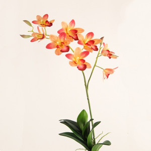 Orchidea ramo 8 fiori arancio