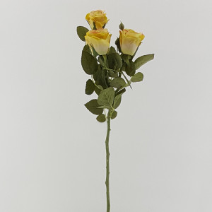 Rosa cabbage cm.66 giallo