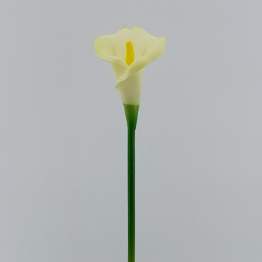 Calla foam cm.63 bianco