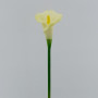 Calla foam cm.63 bianco