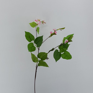 Hyacinth bean rosa cm.80