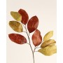 Magnolia fogliaggio cm.90 brown-yellow