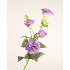 Lisianthus ramo cm.80 cream-lav