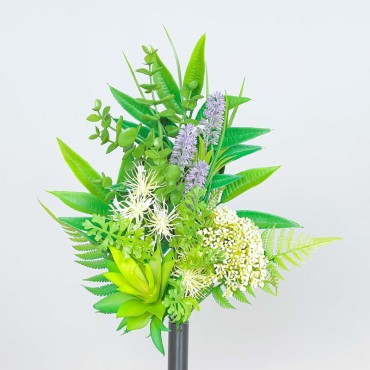 Piante grasse frontale con fiori cream