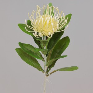 Protea cm. 64 bianco