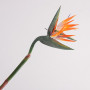 Strelitzia cm.135 orange