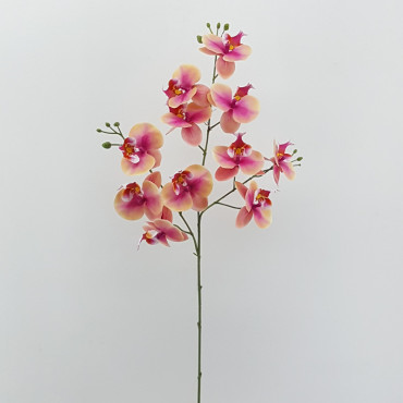 Orchidea cm.80 fucsia