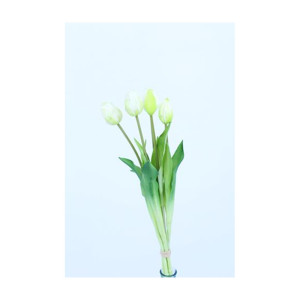 Tulipano bundle cm.43 bianco