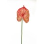 Anthurium cm.66 arancio