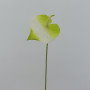 Anthurium ramo cm.70 bianco-verde