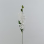 Dendrobium ramo cm.63 bianco