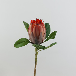 Protea burdetti cm. 56 arancio