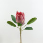 Protea burdetti cm. 56 rosa