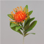 Protea cm. 64 arancio