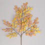 Ficus mini foglia autumn