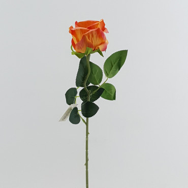 Rosa velvet cm.52 arancione