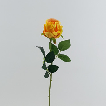 Rosa velvet cm.52 giallo