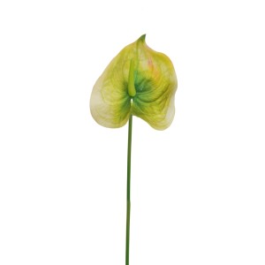 Anthurium cm.66 verde