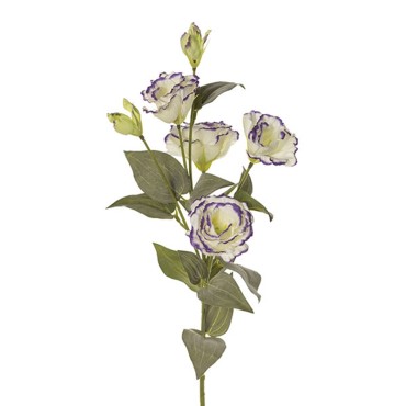 Lisianthus ramo cm.80 purple-wh