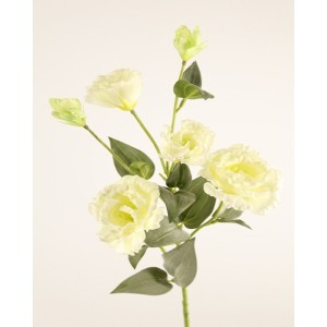 Lisianthus ramo cm.80 bianco