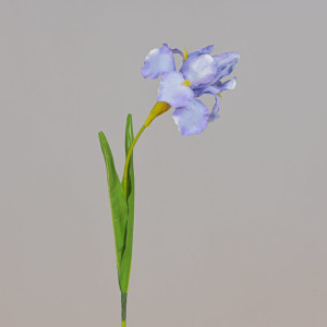 Iris ramo cm.63 lavender