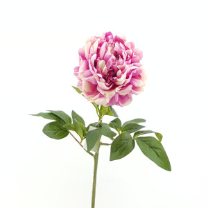 Peonia stelo cm.70 fucsia