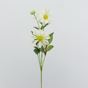 Cosmea cm.70 bianco