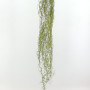 Tillandsia cadente cm.120 verde