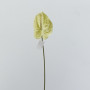 Anthurium stelo cm.70 bianco