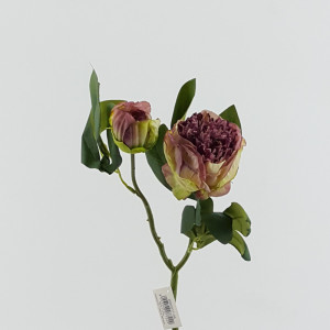 Peonia cm.50 mauve