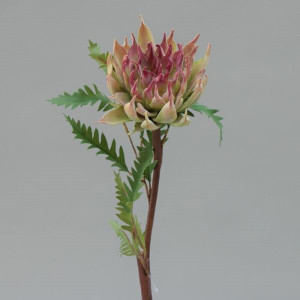 Protea cm.58 purple