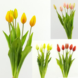 Tulipano bundle 7 fiori assortito