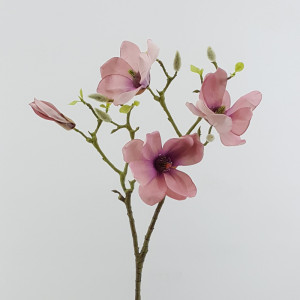 Magnolia tralcio cm.65 mauve