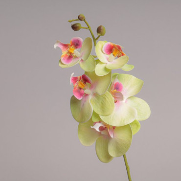 Orchidea cm.44 verde