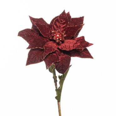 Poinsettia ramo cm.73 bordeaux