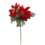 Poinsettia cm.20 rosso