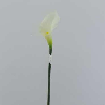 Calla piccola cm.57 bianco