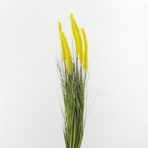 Cattail mazzo cm.75 giallo