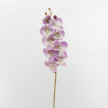 Phalaenopsis stelo cm.93 lilac