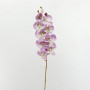 Phalaenopsis stelo cm.93 lilac