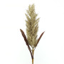 Sorghum ramo cm.90 verde