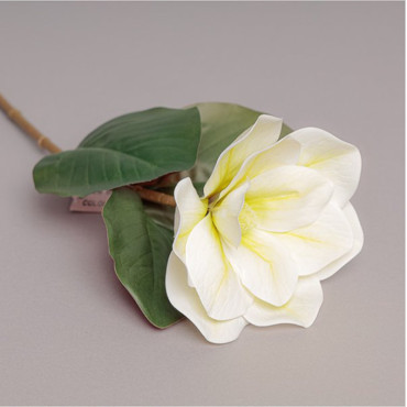 Magnolia ramo cm.65 crema