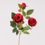 Rosa ramo cm.57 rosso