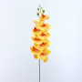 Phalaenopsis cm.98 giallo