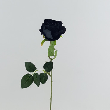 Rosa velvet cm.52 nero