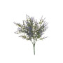 Ligustrum cm.38 lavender