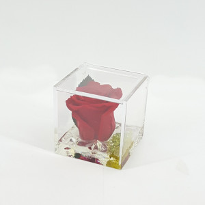 Rosa preserv.in cubo PVC 08 rosso