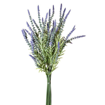 Lavanda bundle cm.40