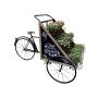 Bici con carrello 175x80 h.114